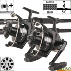 Ensemble Daiwa D'Carp 12' 3lbs 5000 BU (les 2)